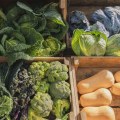 The Benefits of Shopping at Local Farmers Markets in Central Texas