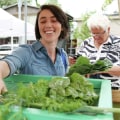 Do Farmers Markets in Central Texas Accept Food Stamps or Other Forms of Government Assistance?